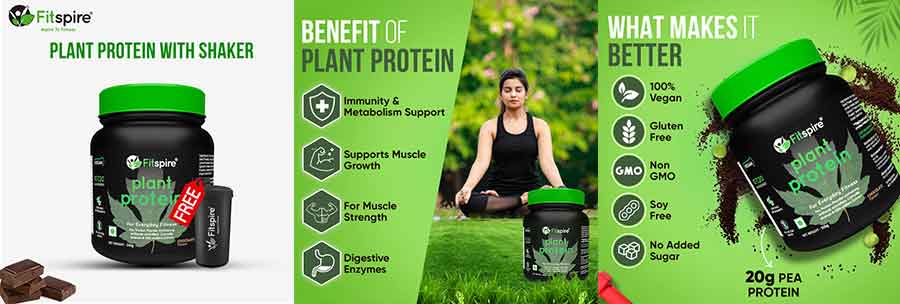 Fitspire plant protein